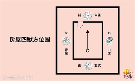 大門左開右開風水